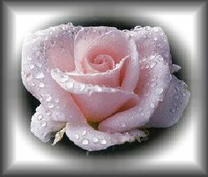 Bonjour  tout le monde